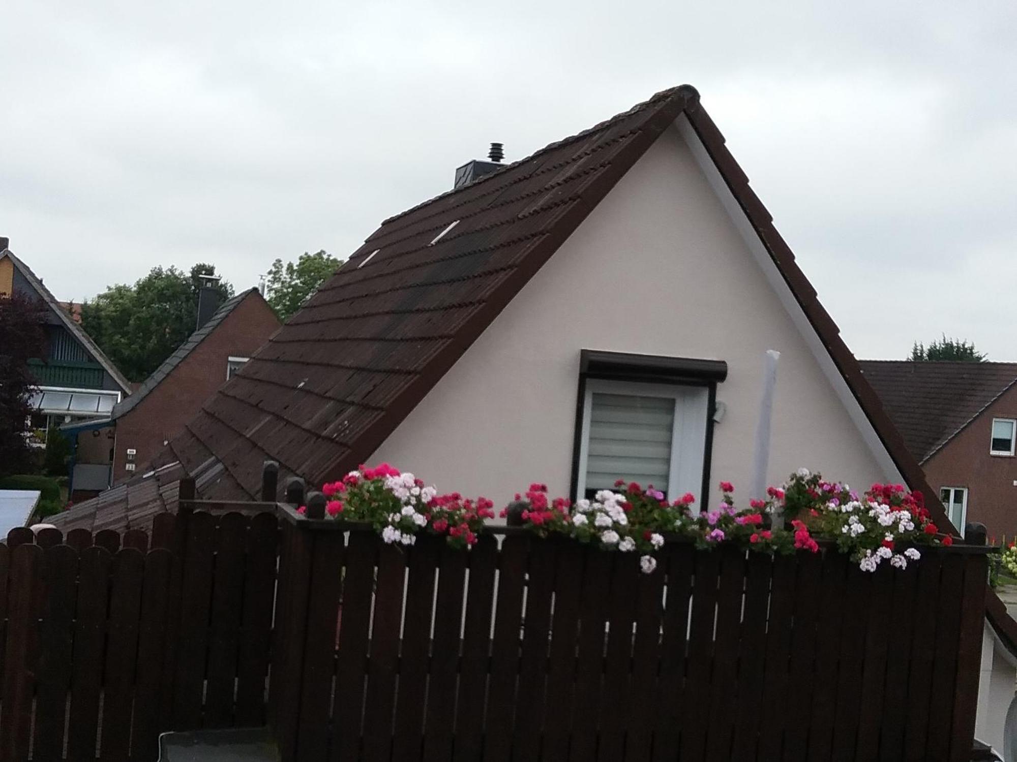 Feld Pu1 * Laboe